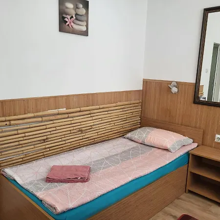 Haus Baron 1 Neckarau Pensión