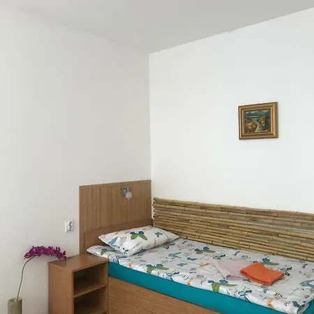 Haus Baron 1 Neckarau Pensión