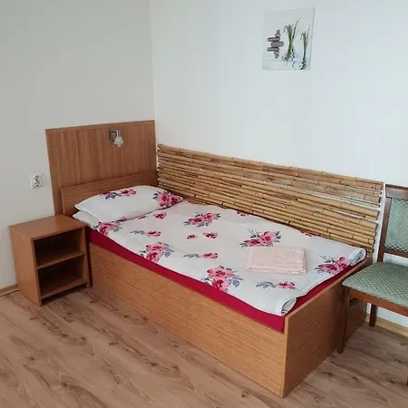 Casa de hóspedes Haus Baron 1 Neckarau 3*