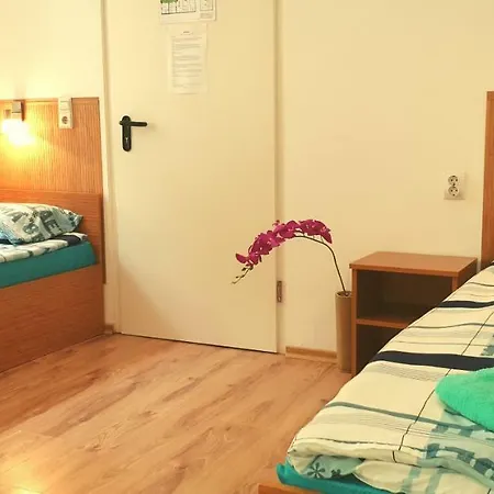 Guest house Haus Baron 1 Neckarau *