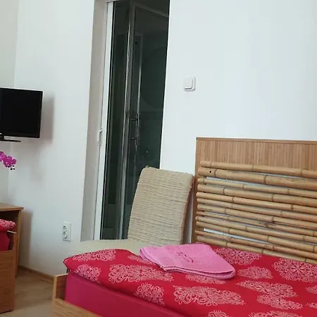 Haus Baron 1 Neckarau Guest house Mannheim