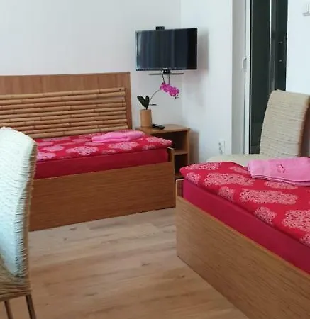 Pensión Haus Baron 1 Neckarau 3*