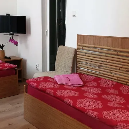 Guest house Haus Baron 1 Neckarau *