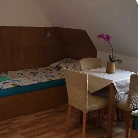 Pensión Haus Baron 1 Neckarau Mannheim