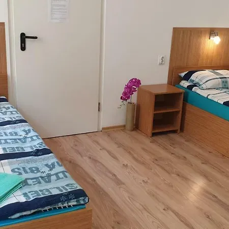 Гостевой дом Haus Baron 1 Neckarau