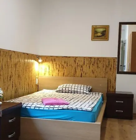 Guest house Haus Baron 1 Neckarau *