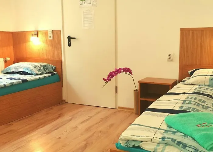 게스트하우스 Haus Baron 1 Neckarau 3*